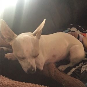 Meet your Posher, Santana